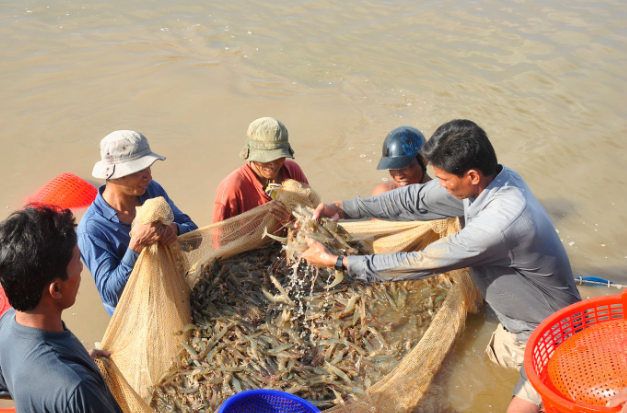 Viet Nam’s agro-forestry-fishery exports reach US$11.3 billion in first two months